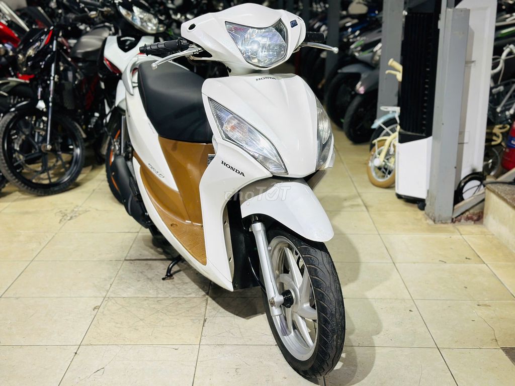 XE M 2020 - ảnh 1