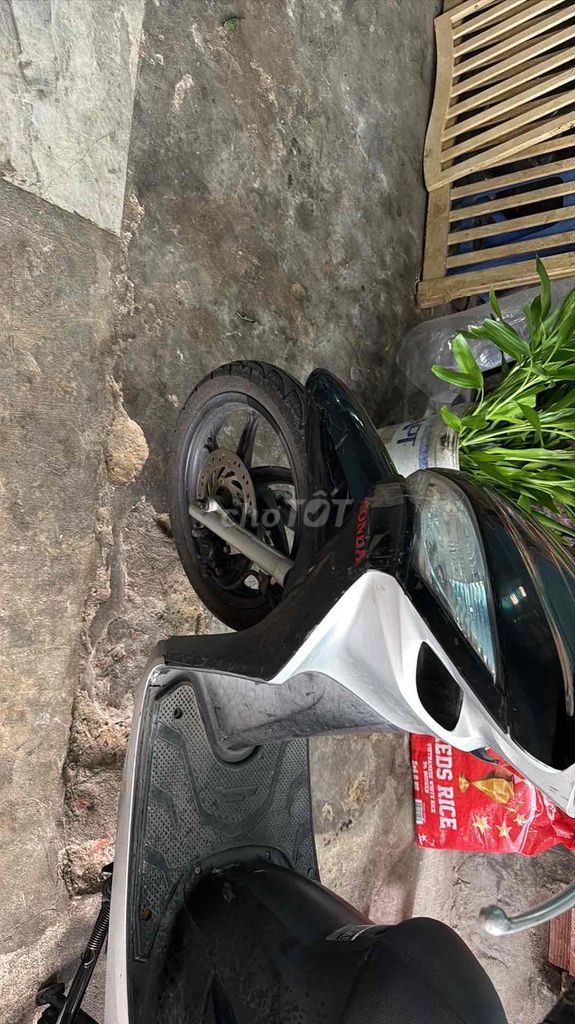 Honda Vision 2013 - ảnh 2
