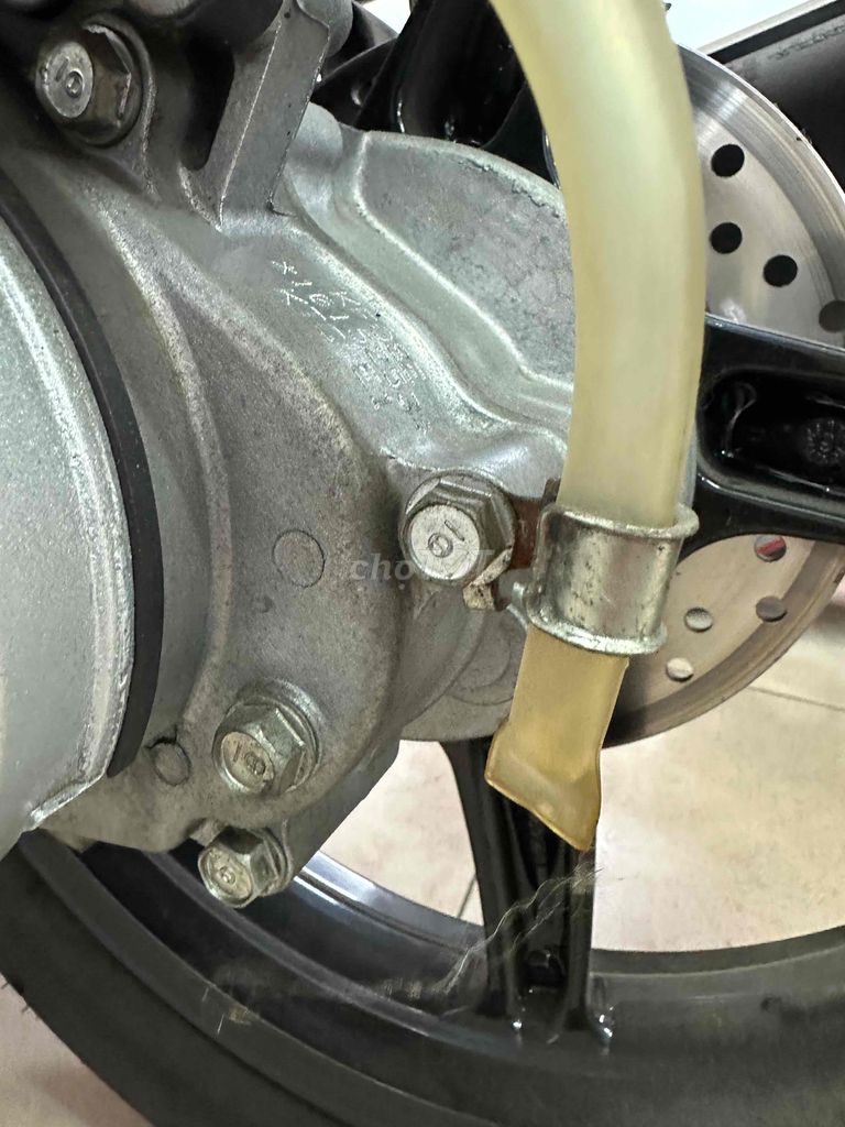 Honda 2009 - ảnh 5