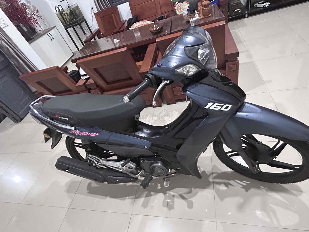 Elegant 2023 - ảnh 2