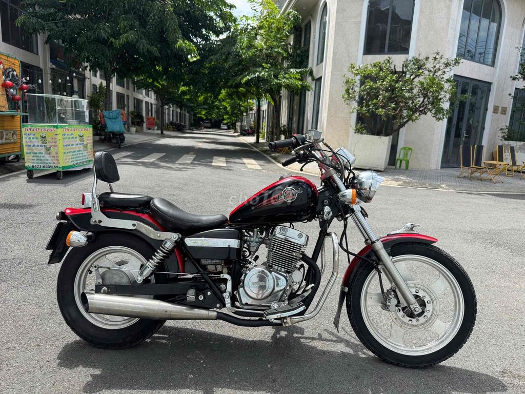 Rebel USA 2011 - ảnh 4