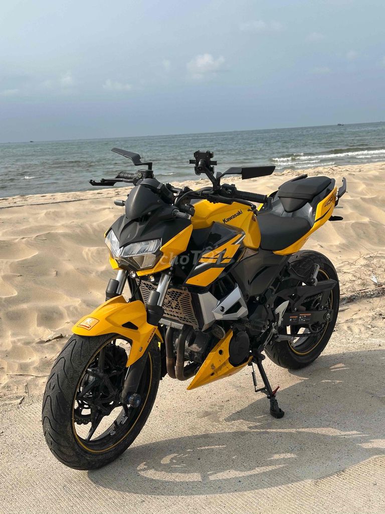 Z 2022 - ảnh 4
