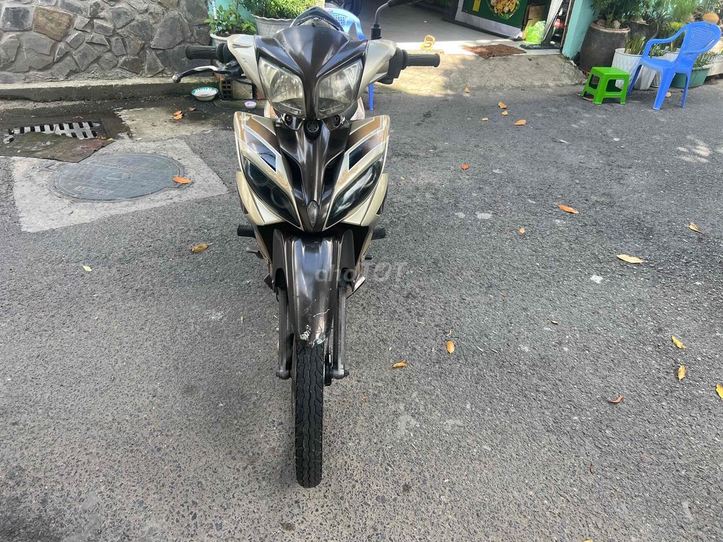 xe m 2011 - ảnh 3