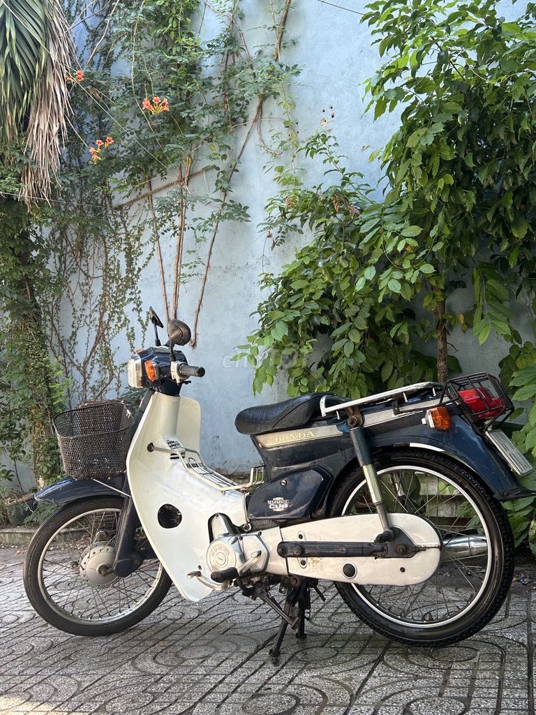 Honda Cup 1992 - ảnh 3