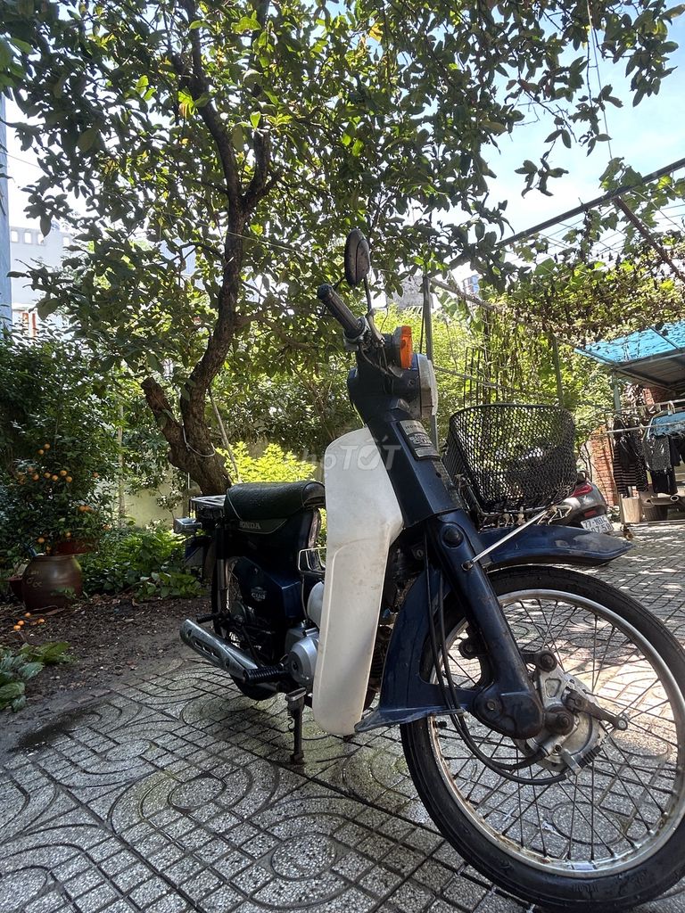 Honda Cup 1992 - ảnh 5