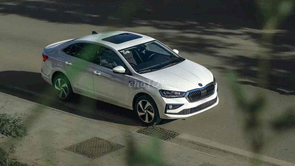 Skoda - ảnh 1