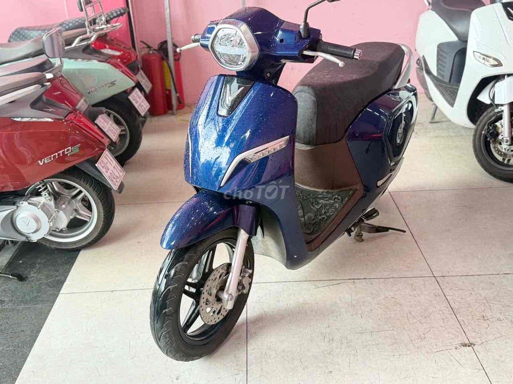 Xe m 2024 - ảnh 1