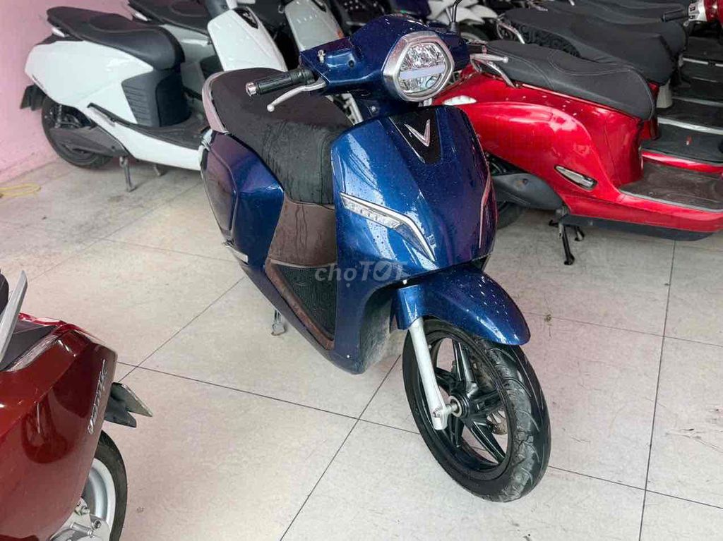 Xe m 2024 - ảnh 2