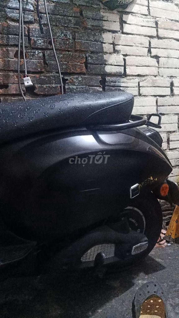 Xe m 2025 - ảnh 1