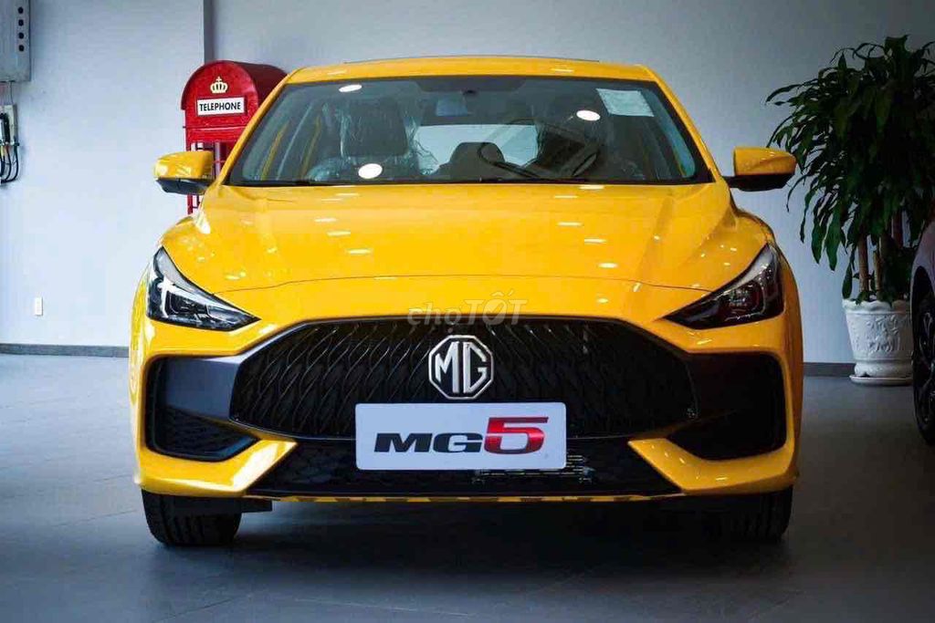 MG - ảnh 1