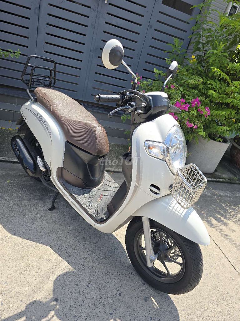 Scoopy 2020 - ảnh 3