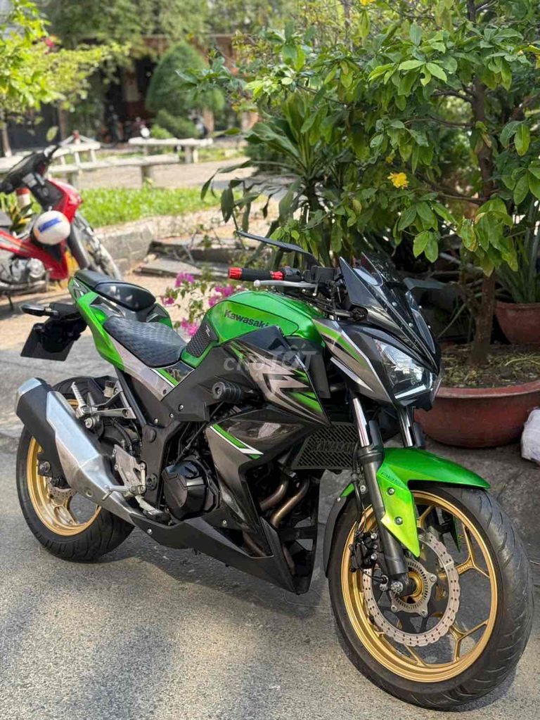 Kawasaki Z 2017 - ảnh 1