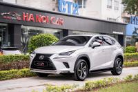 Lexus NX 300 2018 - ảnh 1
