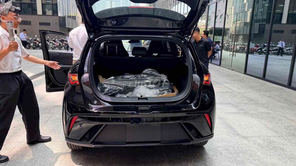 BYD Dolphin - ảnh 3