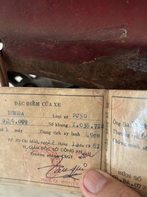 Cần b 1981 - ảnh 1