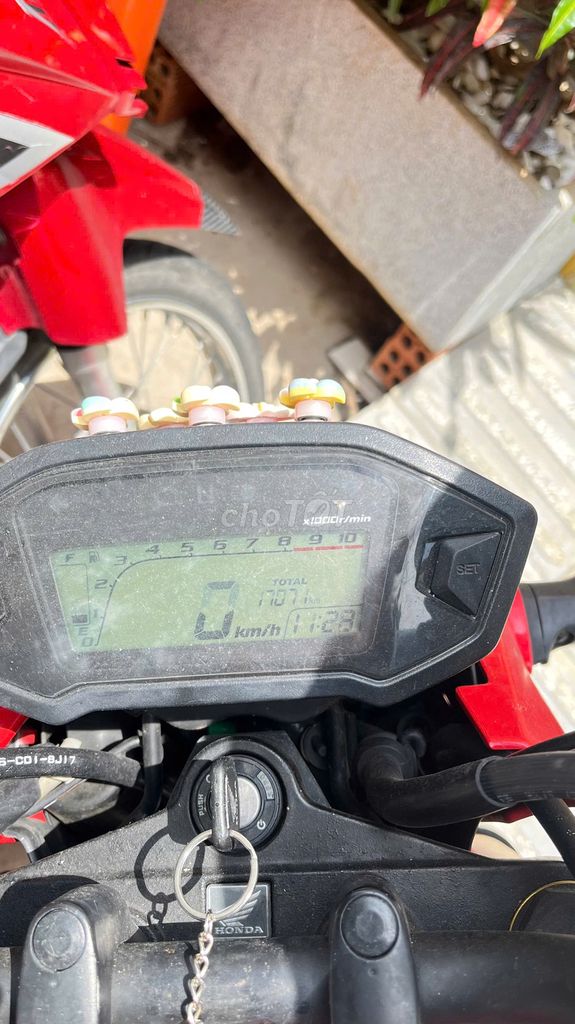 Honda MSX 2019 - ảnh 1