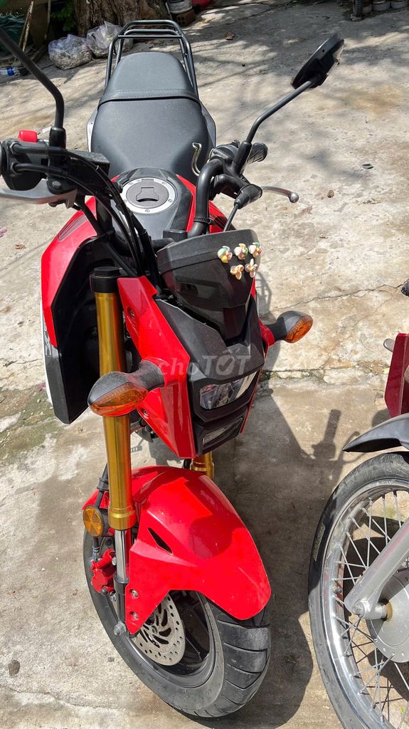 Honda MSX 2019 - ảnh 2