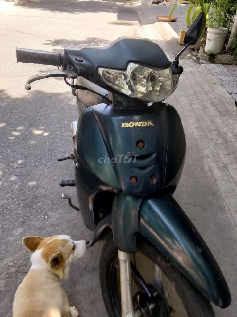 Honda Wave 2003 - ảnh 4