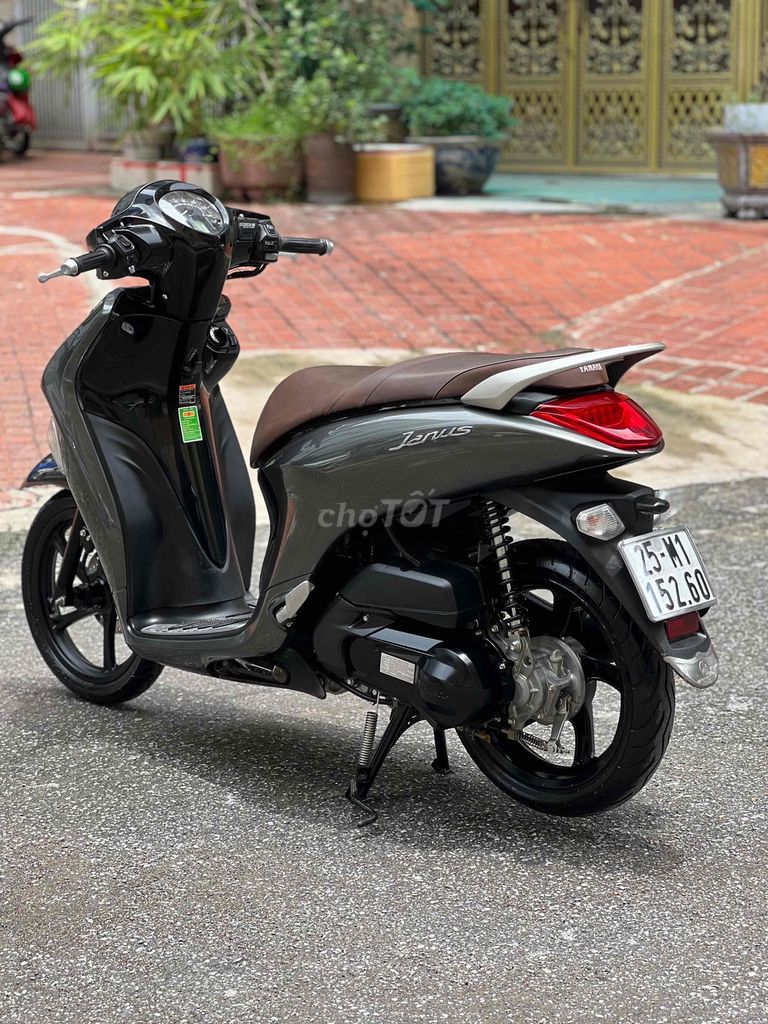 Yamaha Janus 2023 - ảnh 1