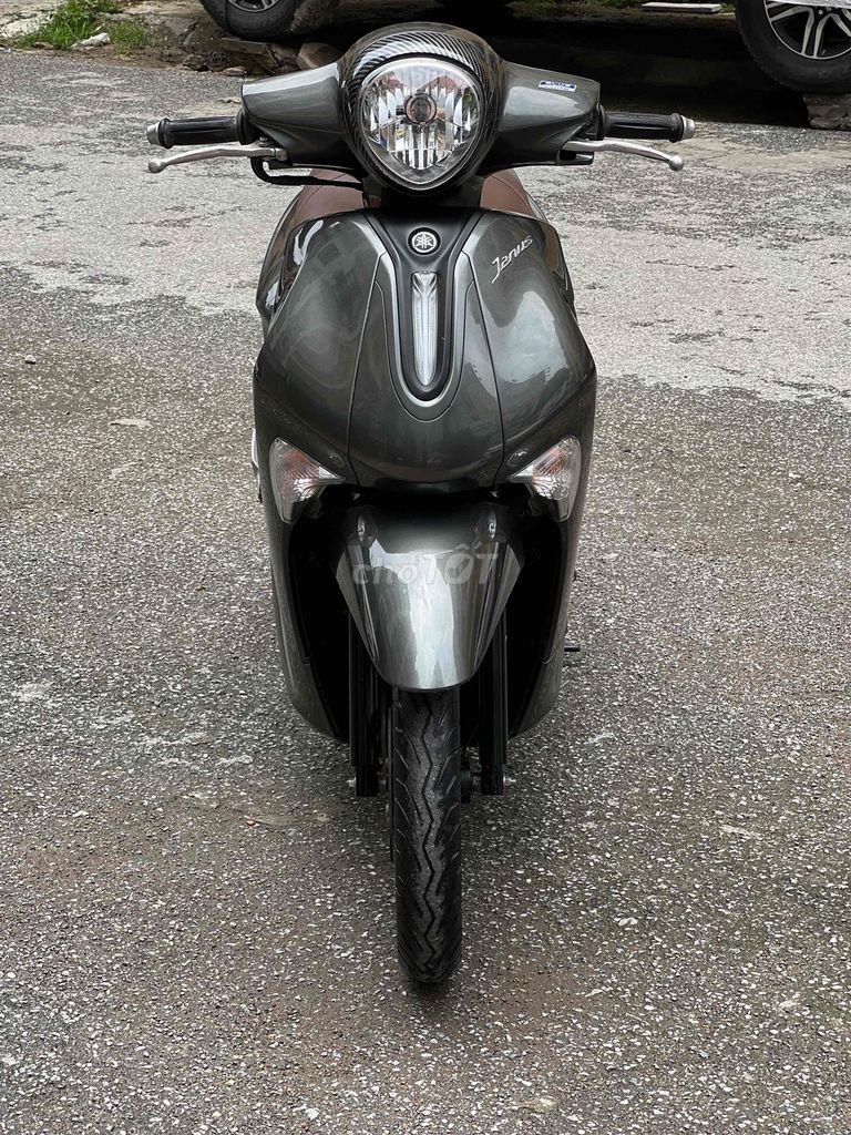 Yamaha Janus 2023 - ảnh 2