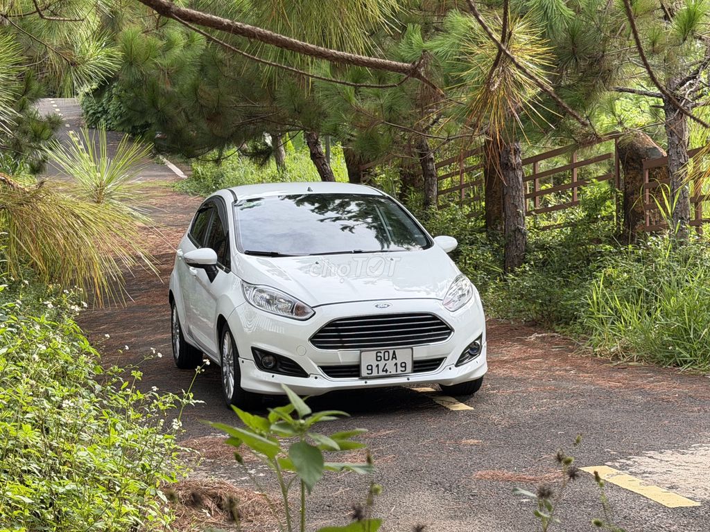 Ford Fiesta 2014 - ảnh 4