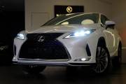 Lexus RX 300 2021 - ảnh 1