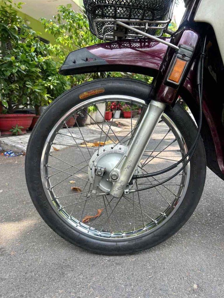 Honda Dream 1995 - ảnh 5