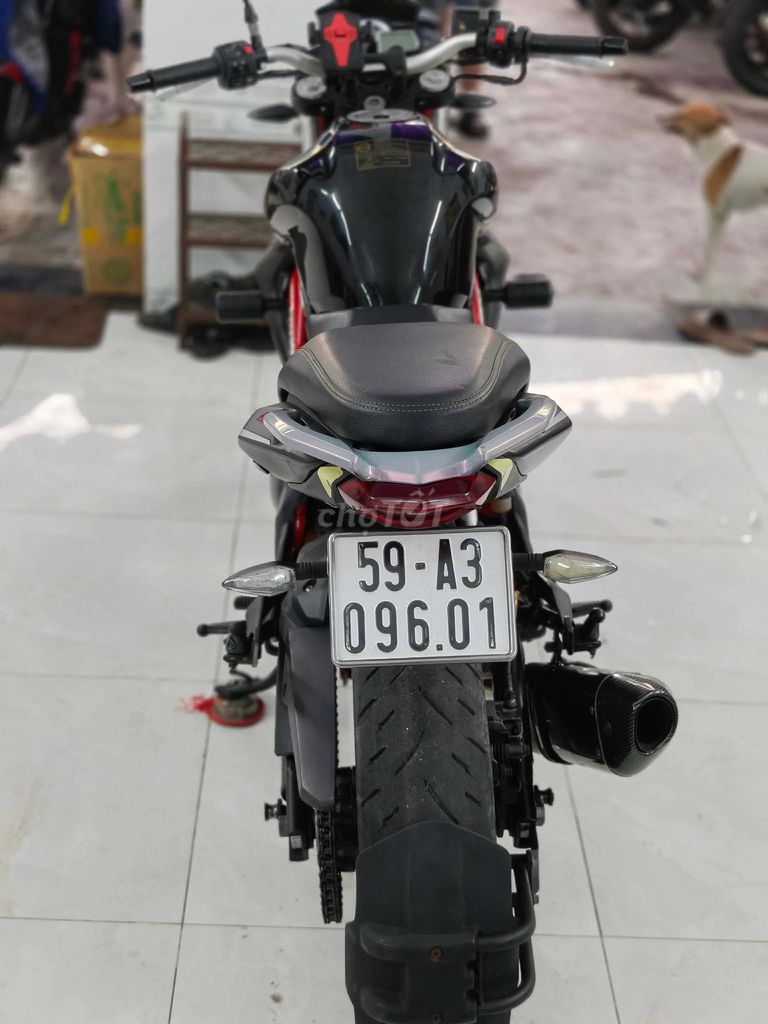 Benelli 2016 - ảnh 5