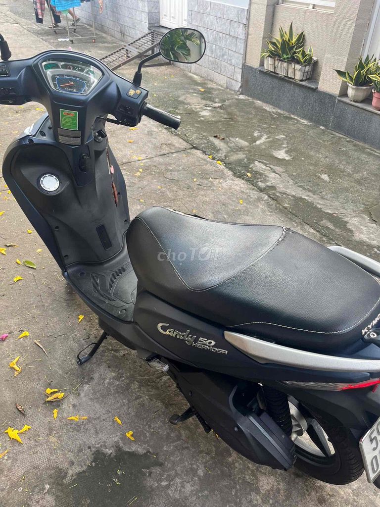 Bán xe 2023 - ảnh 1