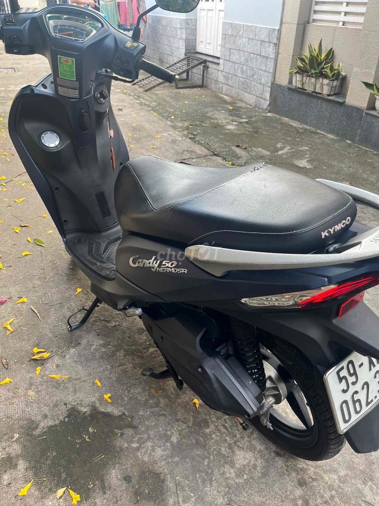 Bán xe 2023 - ảnh 3