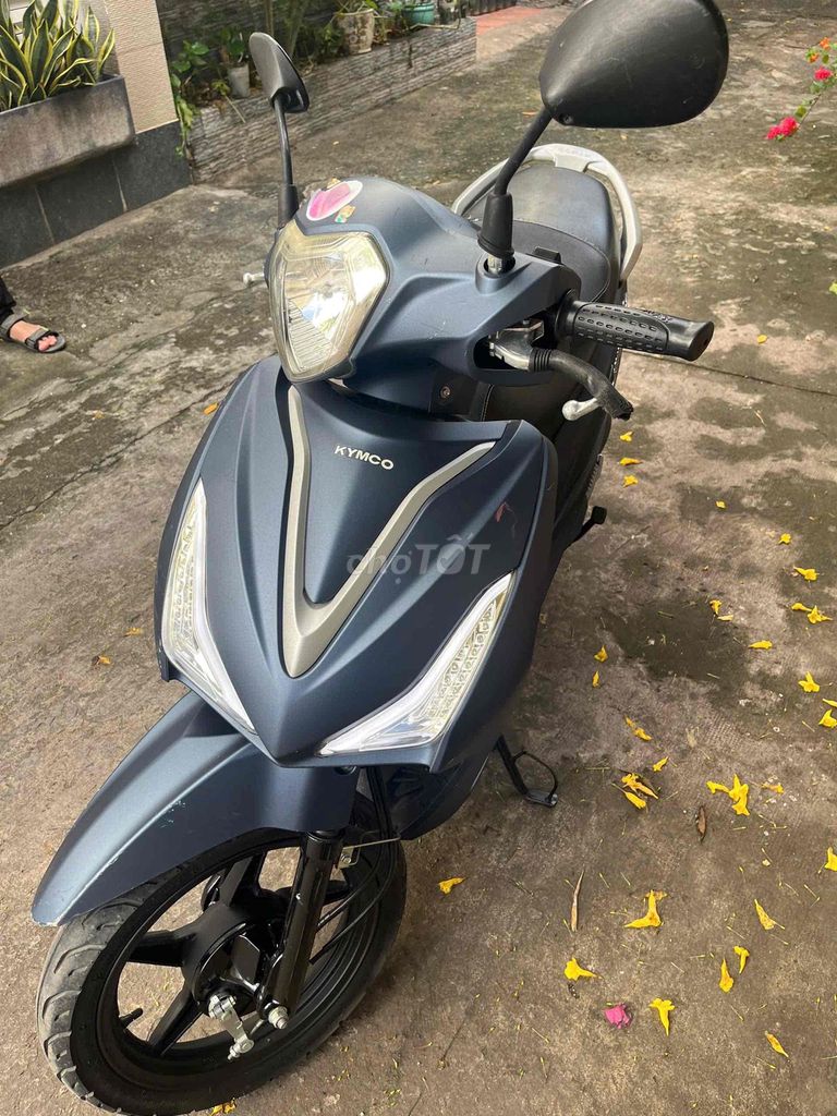 Bán xe 2023 - ảnh 4