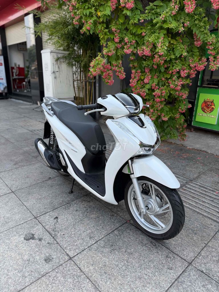 Honda SH 2024 - ảnh 2