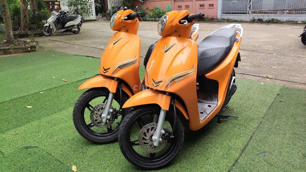 Xe m 2025 - ảnh 2