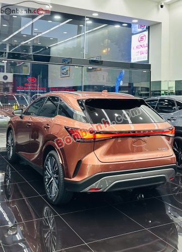 Lexus RX 350 Premium 2023 - ảnh 3