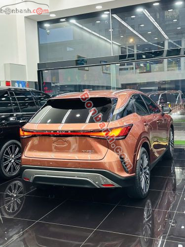 Lexus RX 350 Premium 2023 - ảnh 4