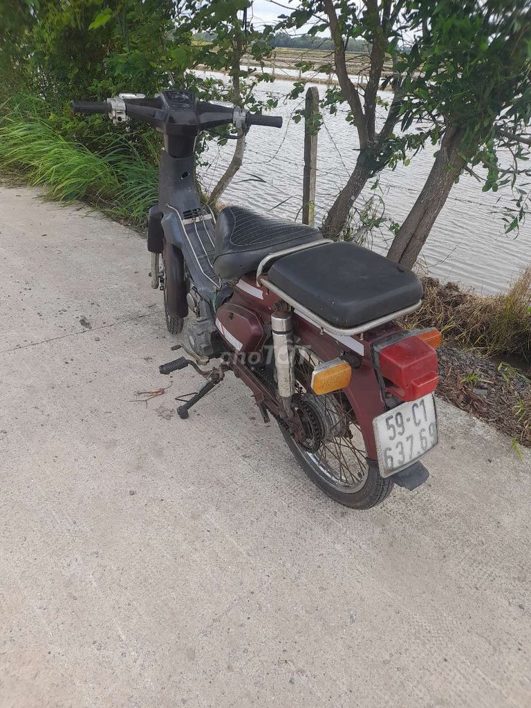 Honda Cup 1994 - ảnh 2