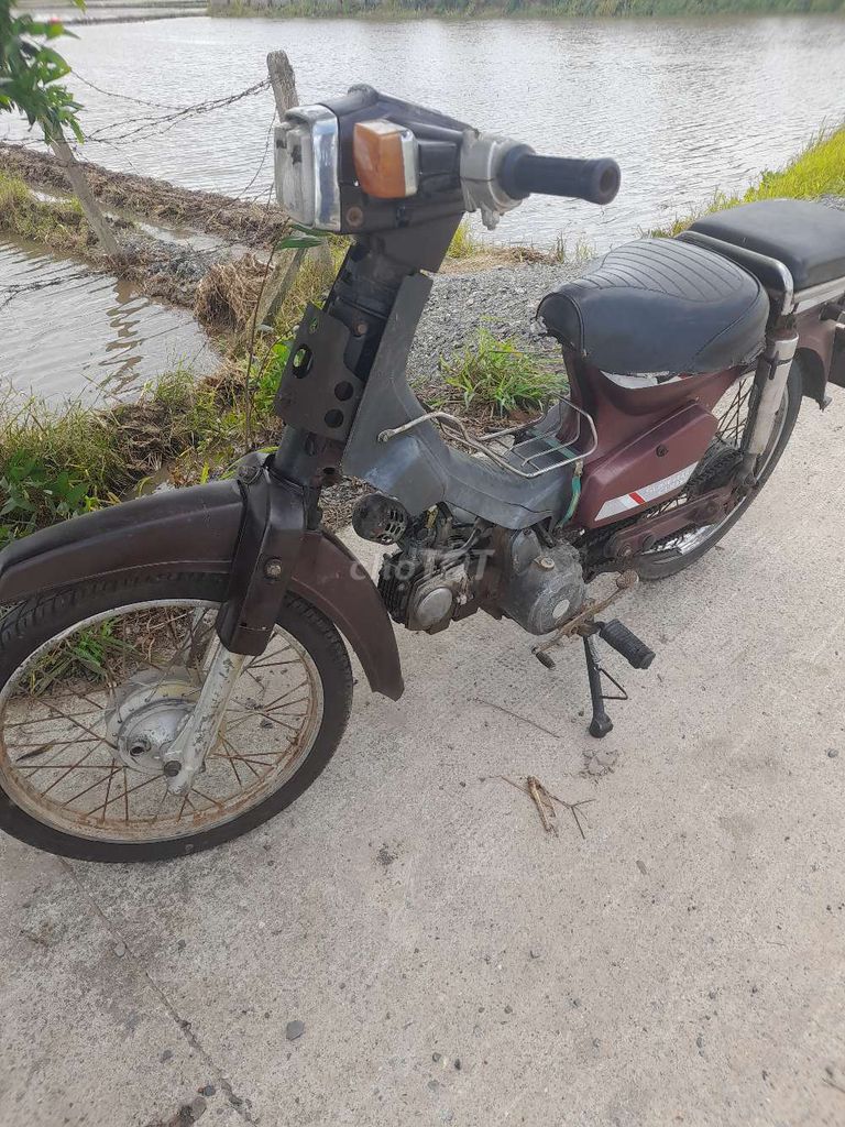 Honda Cup 1994 - ảnh 4