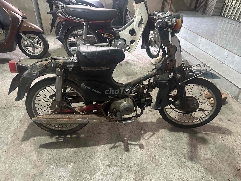 Honda Cub 1998 - ảnh 1