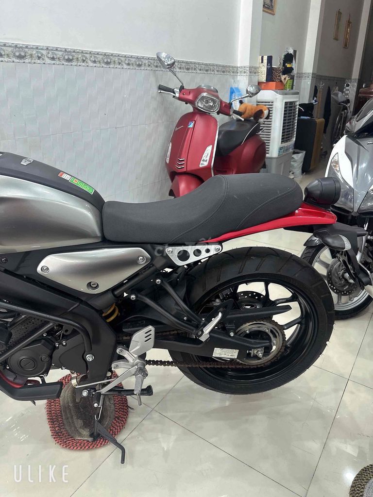 Yamaha XSR 2024 - ảnh 4