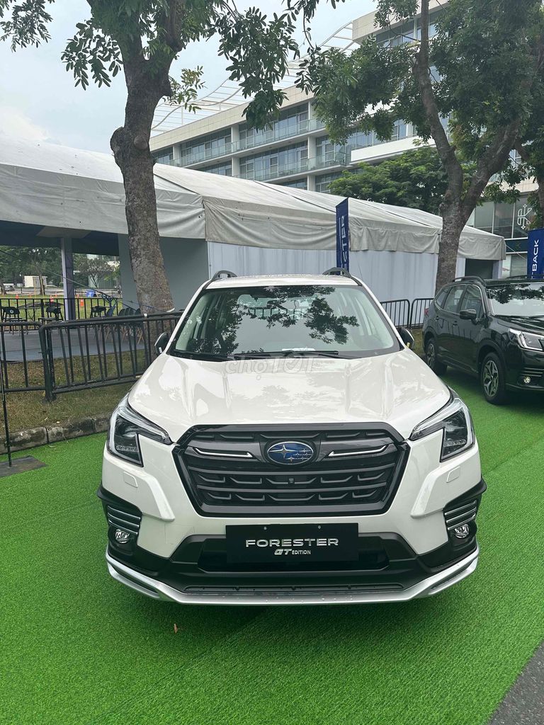 Subaru Forester 2024 - ảnh 4