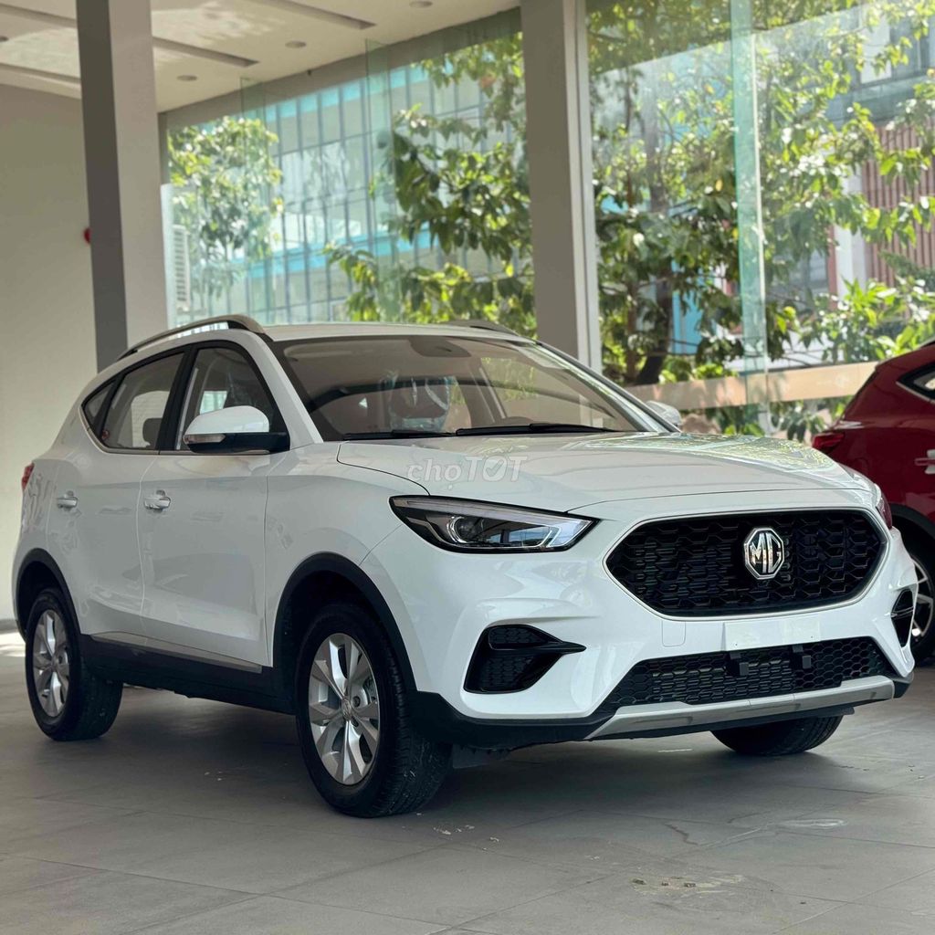 MG - ảnh 1