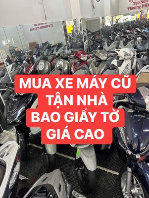 THU MUA 2025 - ảnh 1