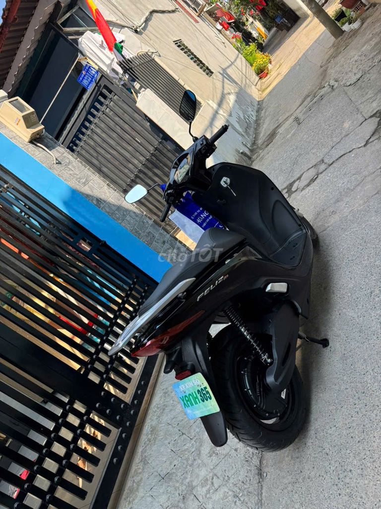 Xe m 2025 - ảnh 1