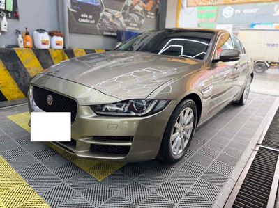 Jaguar - ảnh 1