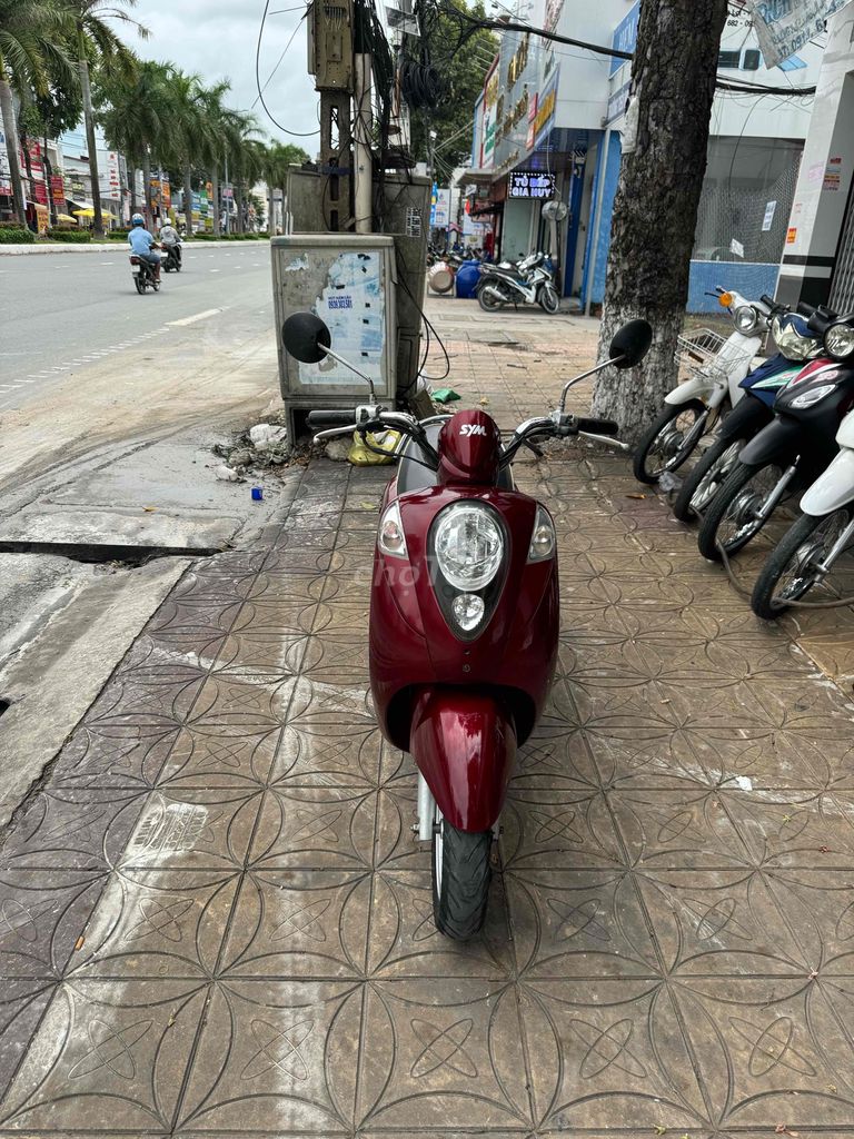 SYM ELITE 2020 - ảnh 1