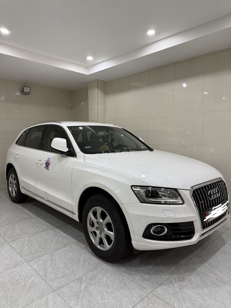 Audi Q5 2013 - ảnh 2