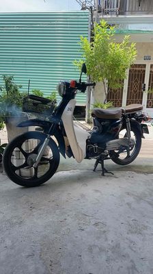 Xe cub 2019 - ảnh 1