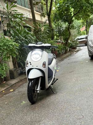 Honda Scoopy 2025 - ảnh 1