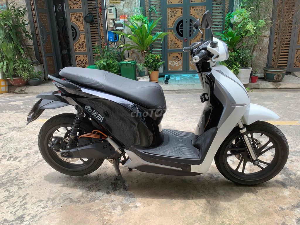 Xe m 2024 - ảnh 4