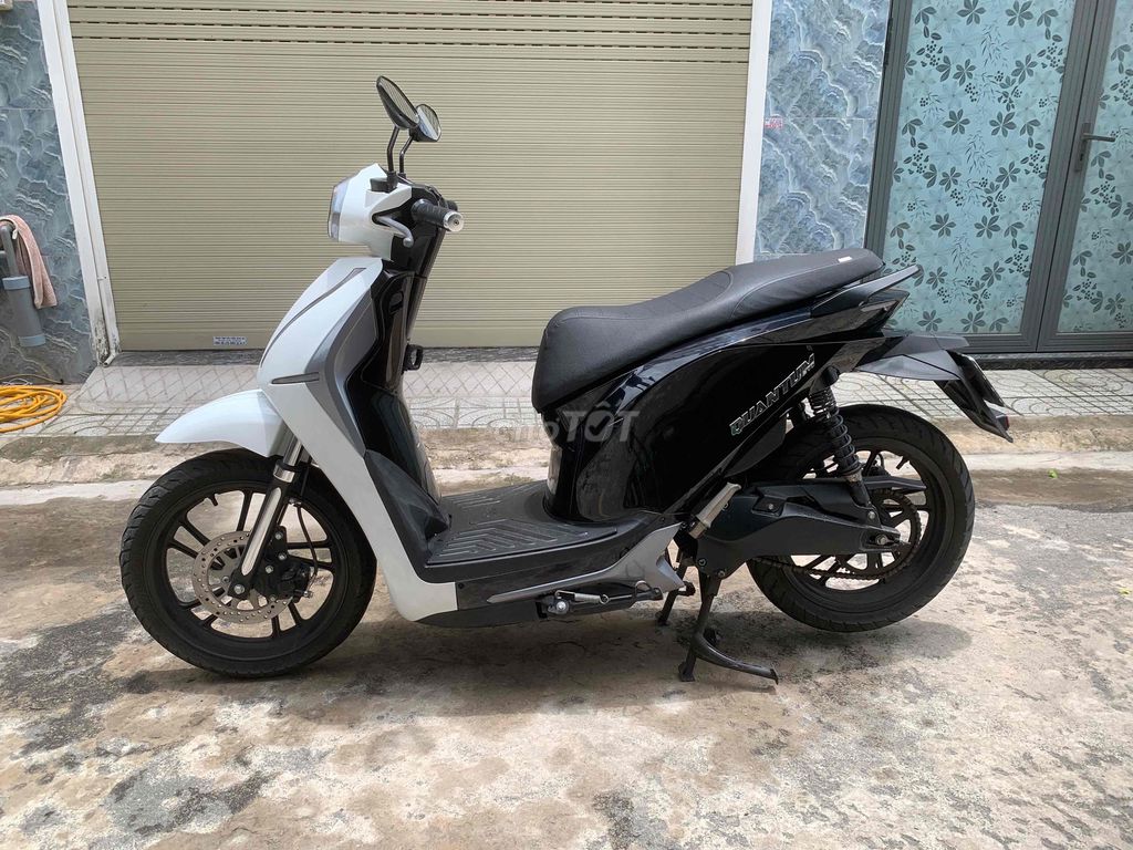 Xe m 2024 - ảnh 5